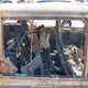 2C4RDGBG2GR266246 2016 Dodge Grand Caravan auction photo thumbnail 8