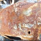 2C4RDGBG2GR266246 2016 Dodge Grand Caravan auction photo thumbnail 9