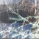 KMHRC8A35PU253304 2023 Hyundai Venue Sel/Limited auction photo thumbnail 19