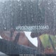 WP0CB2A88DS130643 2013 Porsche Boxster S auction photo thumbnail 20