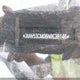 3MW53CM06N8C38146 2022 BMW M240I xDrive auction photo thumbnail 19