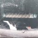 2HGFB2F45EH034224 2014 Honda Civic Sedan auction photo thumbnail 9