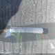JF1GE62689H521072 2009 Subaru Impreza 2.5 I/2.5 I Sport Package auction photo thumbnail 20