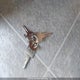 5UYTS30227R010393 2007 Pacific Coachworks Tango auction photo thumbnail 11