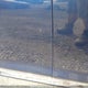 5NPE34AF1FH119100 2015 Hyundai Sonata Sport/Limited auction photo thumbnail 12