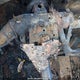 3VV2B7AX4LM130082 2020 Volkswagen Tiguan Comfortline/Iq Drive auction photo thumbnail 7