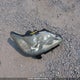 JTHBK1EG5A2390046 2010 Lexus Es 350 350 auction photo thumbnail 12