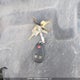 1GCRKREA2DZ154752 2013 Chevrolet Silverado 1500 Ls auction photo thumbnail 11
