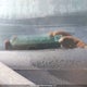 1FTEW1EP1KFA89786 2019 Ford F150 Supercrew auction photo thumbnail 18