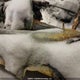 1V2BR2CA9NC561834 2022 Volkswagen Atlas Sel auction photo thumbnail 9