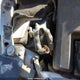 1FTER4FH9KLA88306 2019 Ford Ranger Xl/Xlt/Lariat auction photo thumbnail 17