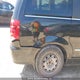 2D4RN5DG4BR695916 2011 Dodge Grand Caravan Crew auction photo thumbnail 19