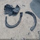 JM1DKFC74M1511640 2021 Mazda Cx-3 Gs auction photo thumbnail 12