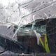 1FTYR2CG2HKB45019 2017 Ford Transit T-250 auction photo thumbnail 9
