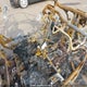 3NSMAC923NF356860 2022 Polaris Rzr Pro Xp Premium Ride Command auction photo thumbnail 5