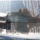 KMHDH4AE2GU631519 2016 Hyundai Elantra Sport Appearance auction photo thumbnail 9