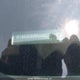 1FTBR3U89RKA49277 2024 Ford Transit T-250 auction photo thumbnail 9