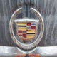 3GYFNEEYXBS547788 2011 Cadillac Srx Performance Collection auction photo thumbnail 21