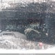 JM3KE4CY6G0819454 2016 Mazda Cx-5 Gs auction photo thumbnail 9