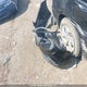 2HGFB2F43FH033719 2015 Honda Civic Lx auction photo thumbnail 12