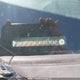2HGFG1B62AH007642 2010 Honda Civic Lx Sr auction photo thumbnail 20
