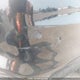 3FA6P0D99JR105660 2018 Ford Fusion Platinum auction photo thumbnail 19