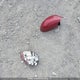 2G4WJ582791263383 2009 Buick Allure auction photo thumbnail 12