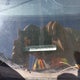2C3CCAAG2EH107015 2014 Chrysler 300 auction photo thumbnail 9