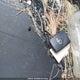 5TFDY5F15LX910830 2020 Toyota Tundra Crewmax Sr5/Crewmax Trd Pro auction photo thumbnail 11