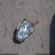 JN8AS5MT3DW039110 2013 Nissan Rogue S/Sv auction photo thumbnail 12
