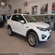 SALCR2FXXKH806430 2019 Land Rover Discovery Sport Hse/Landmark Edition auction photo thumbnail 1