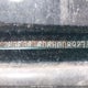 2HGFG11606H008927 2006 Honda Civic Lx auction photo thumbnail 19
