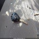 2T3ZF4DV6BW092247 2011 Toyota Rav4 auction photo thumbnail 11