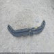 2T3ZF4DV7CW117853 2012 Toyota Rav4 auction photo thumbnail 12