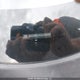 KNADM4A34E6338489 2014 Kia Rio Ex/Ex+/Lx/Lx+/Sx auction photo thumbnail 9