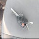 1FMCU0GXXEUE43854 2014 Ford Escape Se auction photo thumbnail 11