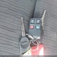 1FAHP3FN7AW283648 2010 Ford Focus Se auction photo thumbnail 11