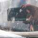 3GTU2TEC1FG248486 2015 GMC Sierra 1500 auction photo thumbnail 19