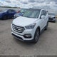 5NMZUDLA9JH086854 2018 Hyundai Santa Fe Sport auction photo thumbnail 2