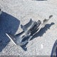 JH4DC53815S800064 2005 Acura Rsx Premium auction photo thumbnail 12
