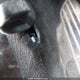 3FA6P0T90GR220397 2016 Ford Fusion auction photo thumbnail 17