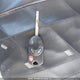 1FMCU9G93HUB46841 2017 Ford Escape Se auction photo thumbnail 11