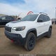 1C4PJMBN0LD641707 2020 Jeep Cherokee Trailhawk auction photo thumbnail 2