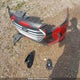 KMHD84LF2JU494112 2018 Hyundai Elantra Gl auction photo thumbnail 11
