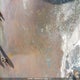 2A9SP2112KJ198258 2019 Lion Lion C V1 auction photo thumbnail 18