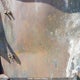 2A9SP2112KJ198258 2019 Lion Lion C V1 auction photo thumbnail 19