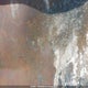 2A9SP2112KJ198258 2019 Lion Lion C V1 auction photo thumbnail 9