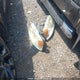 1FTRX14W18KE33124 2008 Ford F-150 Stx/Xl/Xlt auction photo thumbnail 12