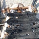 2BPS169121V000018 2001 Skidoo Skidoo. auction photo thumbnail 7