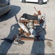 2BPS169121V000018 2001 Skidoo Skidoo. auction photo thumbnail 8